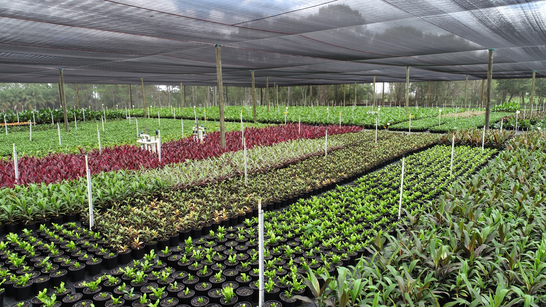 Inside the nursery