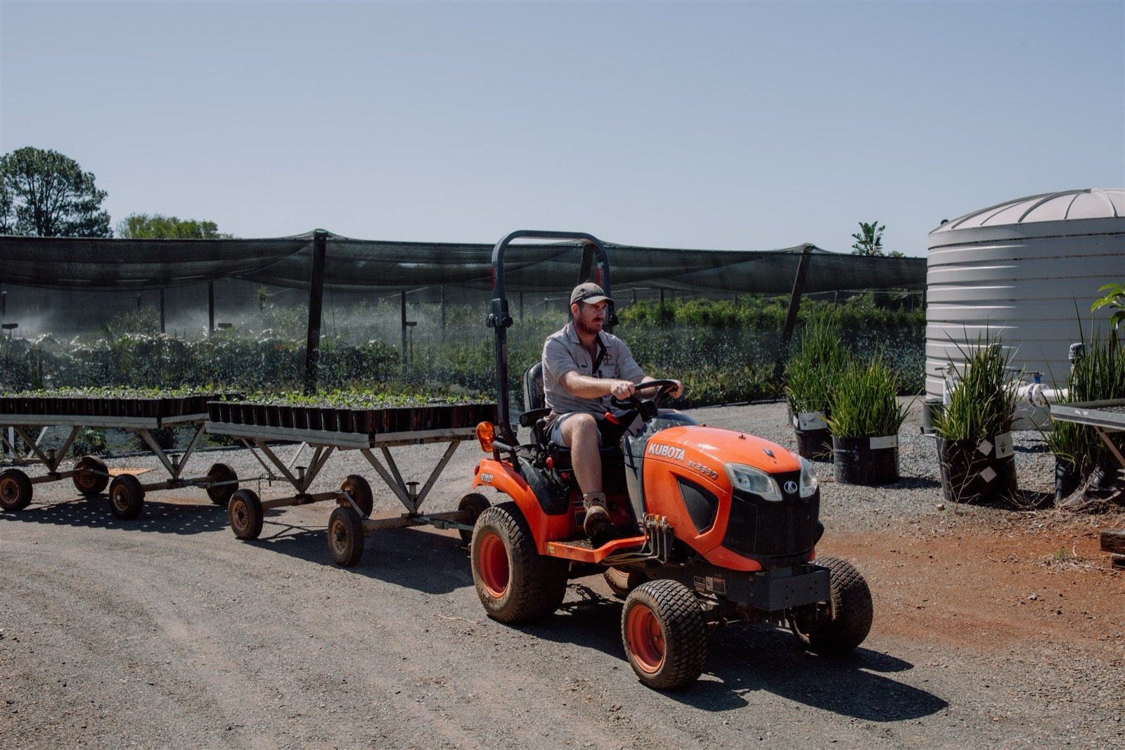 Stock being loaded for freight at the Florafolia nursery