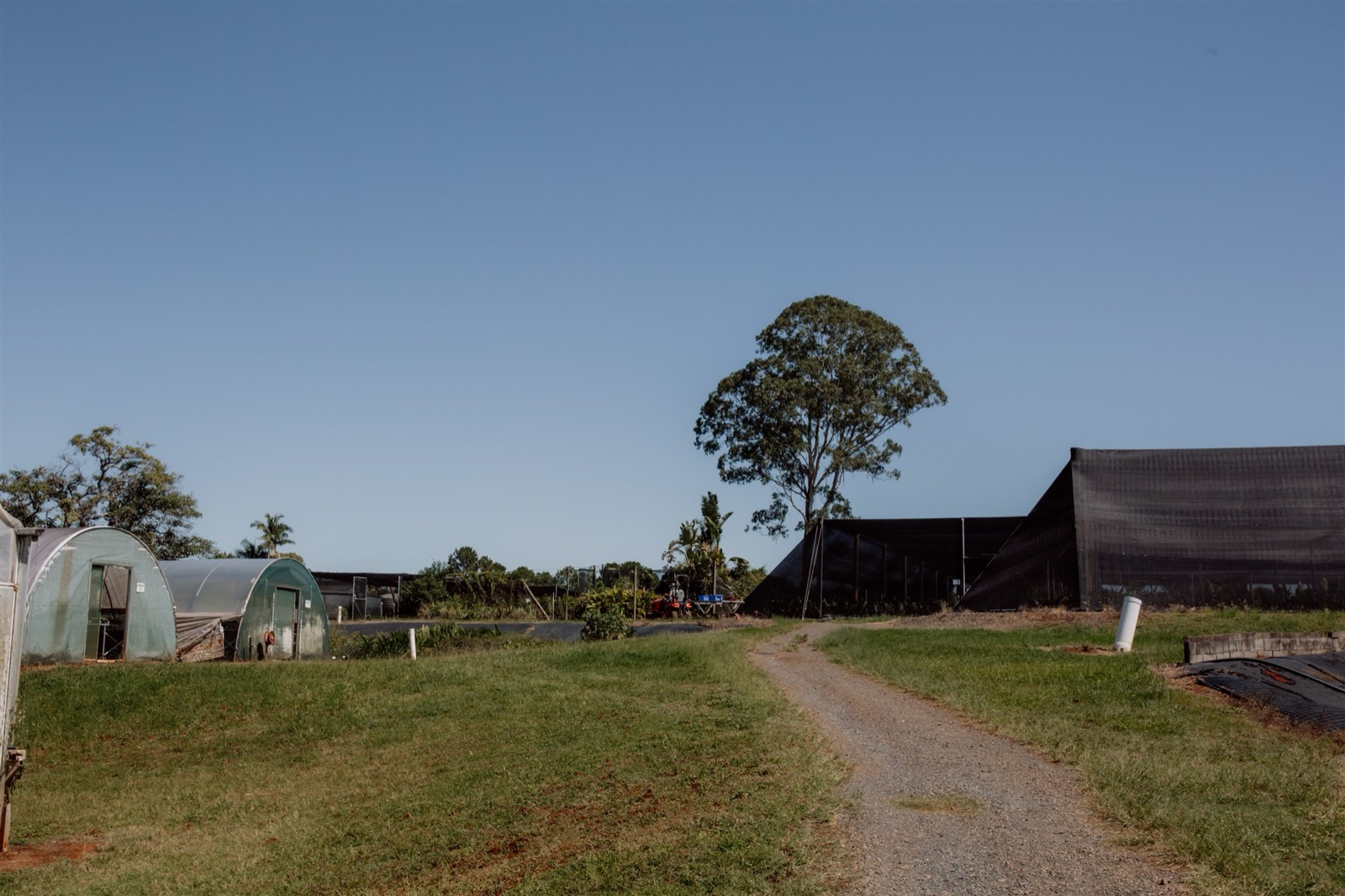 The Florafolia nursery site in eastern Australia, where the full plant range is grown