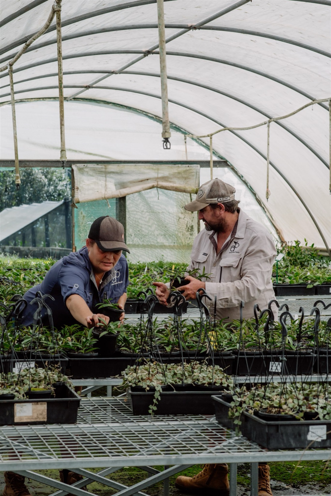 Two Florafolia team members inspecting plant stock together