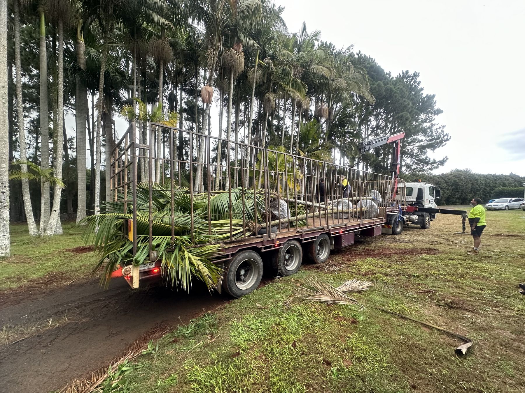 Palms loaded for project delivery