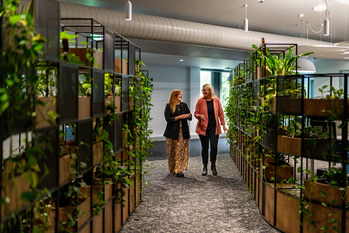 Planted indoor greenery supplied for a university faculty renovation in Lismore
