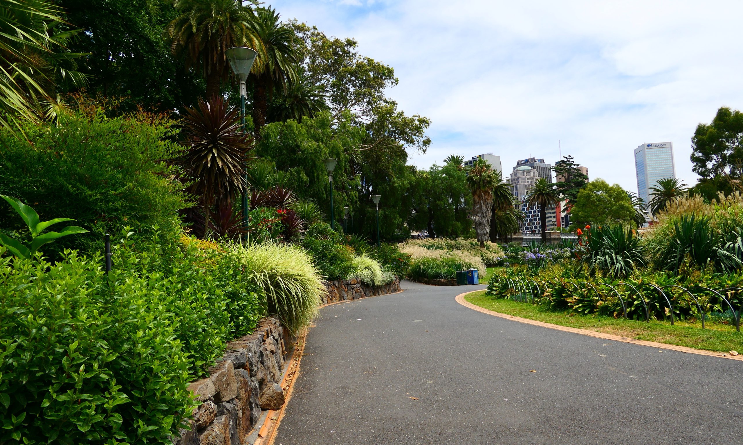 Established commercial landscape planting along a city parkland path